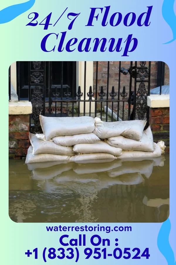 24/7 Flood Cleanup in Webster, IA