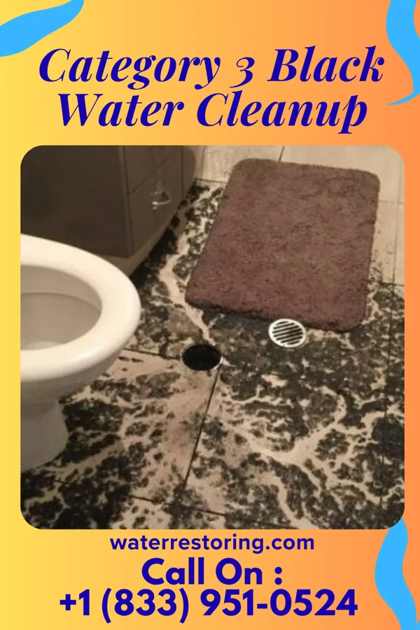 Category 3 Black Water Cleanup in Webster, IA