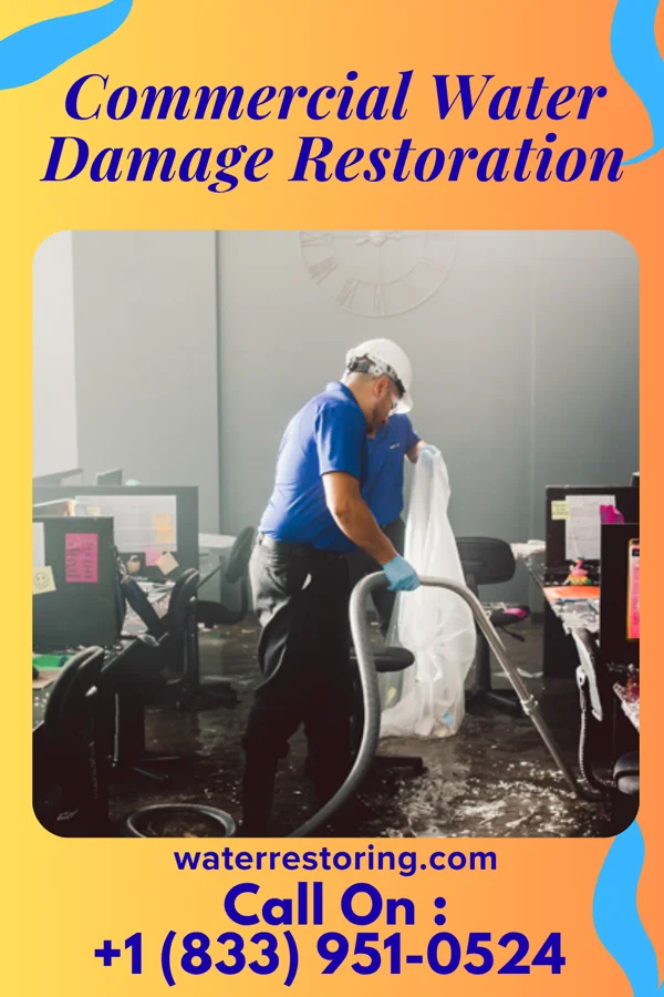 Commercial Water Damage Restoration in Webster, IA