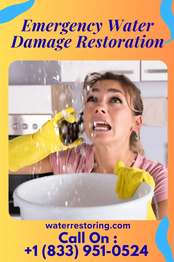 Emergency Water Damage Restoration in Webster, IA