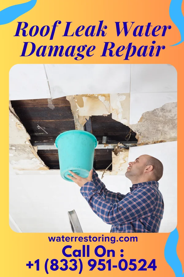 Roof Leak Water Damage Repair in Webster, IA
