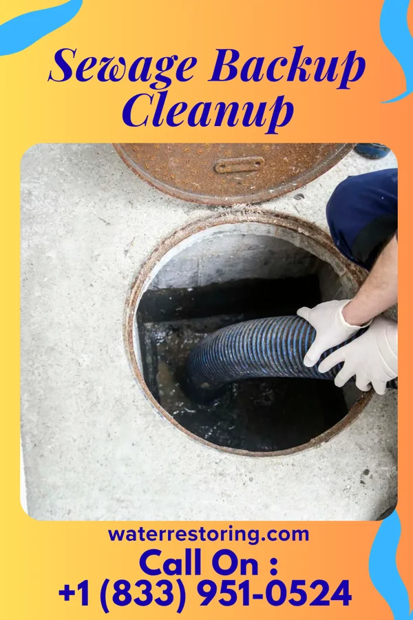 Sewage Backup Cleanup in Webster, IA