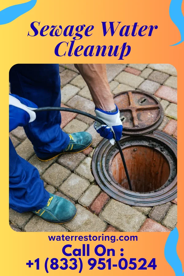 Sewage Water Cleanup in Webster, IA